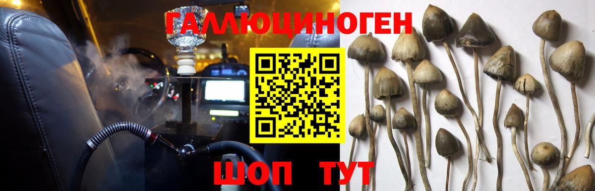 Псилоцибиновые грибы прущие грибы Астрахань